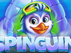 اسپنگوئن thumbnail